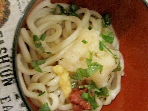 大根おろしとしょうがのさっぱり梅うどん